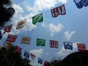 "mspy hacking software