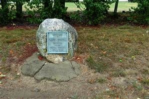 "mspy free trial for android