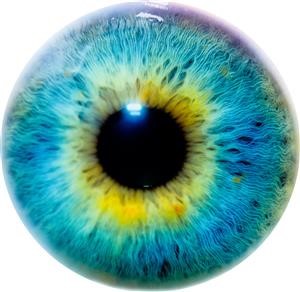 "desinstaller mspy android