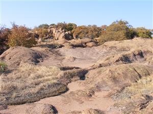 "descargar mspy para android apk gratis